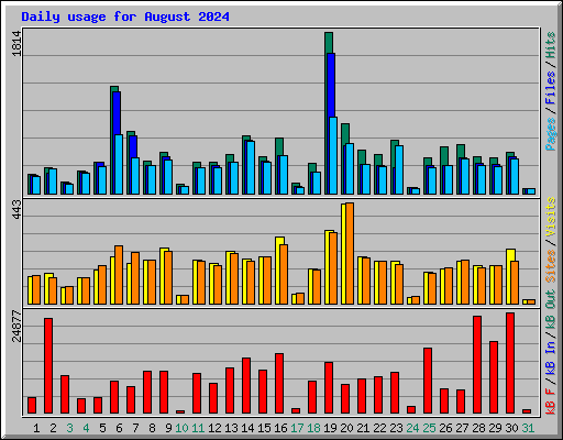 Daily usage for August 2024