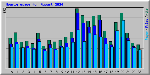 Hourly usage for August 2024