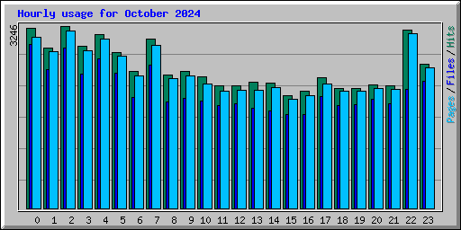 Hourly usage for October 2024